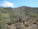 photo thumbnail #15