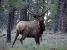 photo thumbnail #3
