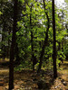photo thumbnail #13