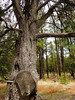 photo thumbnail #15