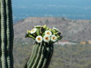 photo thumbnail #5