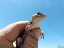 photo thumbnail #9