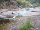 photo thumbnail #2