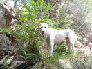 photo thumbnail #5