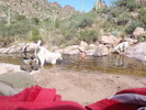 photo thumbnail #9