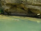 photo thumbnail #11