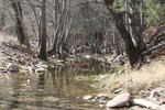 photo thumbnail #2