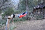 photo thumbnail #8