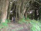 photo thumbnail #15