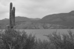 photo thumbnail #14