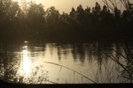 photo thumbnail #15