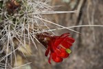 photo thumbnail #9