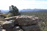 photo thumbnail #15