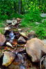photo thumbnail #1