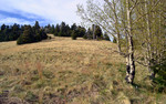 photo thumbnail #10