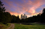 photo thumbnail #14