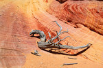 photo thumbnail #8