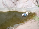 photo thumbnail #2