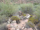 photo thumbnail #3