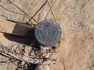 photo thumbnail #8