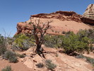 photo thumbnail #10