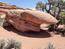 photo thumbnail #13