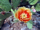 photo thumbnail #10