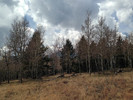 photo thumbnail #4