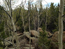 photo thumbnail #8