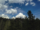photo thumbnail #9