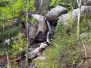photo thumbnail #14