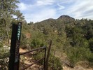 2014-05-23 :1: Thumb Butte Trail #33 :: kingsnake