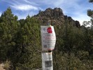 2014-05-23 :1: Thumb Butte Trail #33 :: kingsnake