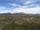2014-05-23 :1: Thumb Butte Trail #33 :: kingsnake