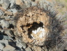 photo thumbnail #9