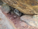 photo thumbnail #7