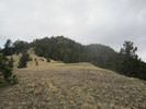 photo thumbnail #11