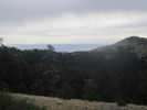 photo thumbnail #13