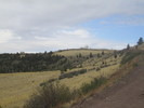 photo thumbnail #15