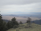 recent photo