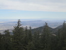 recent photo