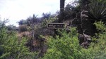 photo thumbnail #13