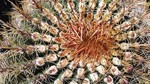 photo thumbnail #15