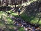 photo thumbnail #8