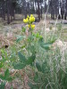 photo thumbnail #9