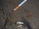 photo thumbnail #12