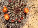 photo thumbnail #3