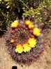 photo thumbnail #4