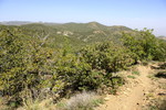 photo thumbnail #9