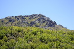 photo thumbnail #12